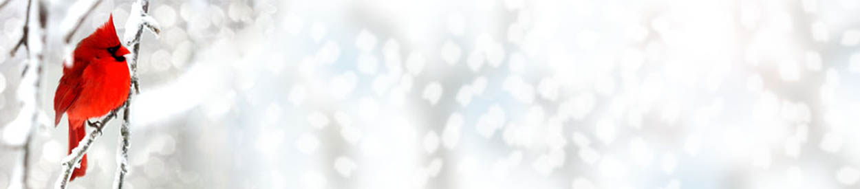 Broward Homeschool Parent Support Group