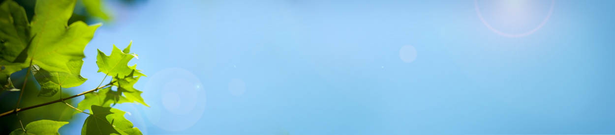 Broward Homeschool Parent Support Group