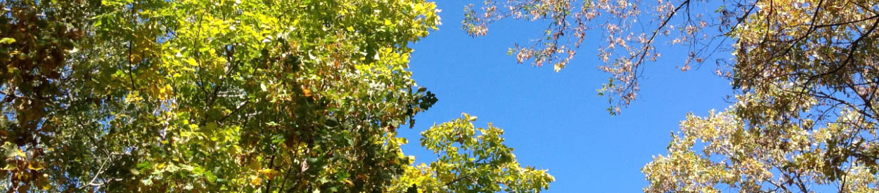 Broward Homeschool Parent Support Group